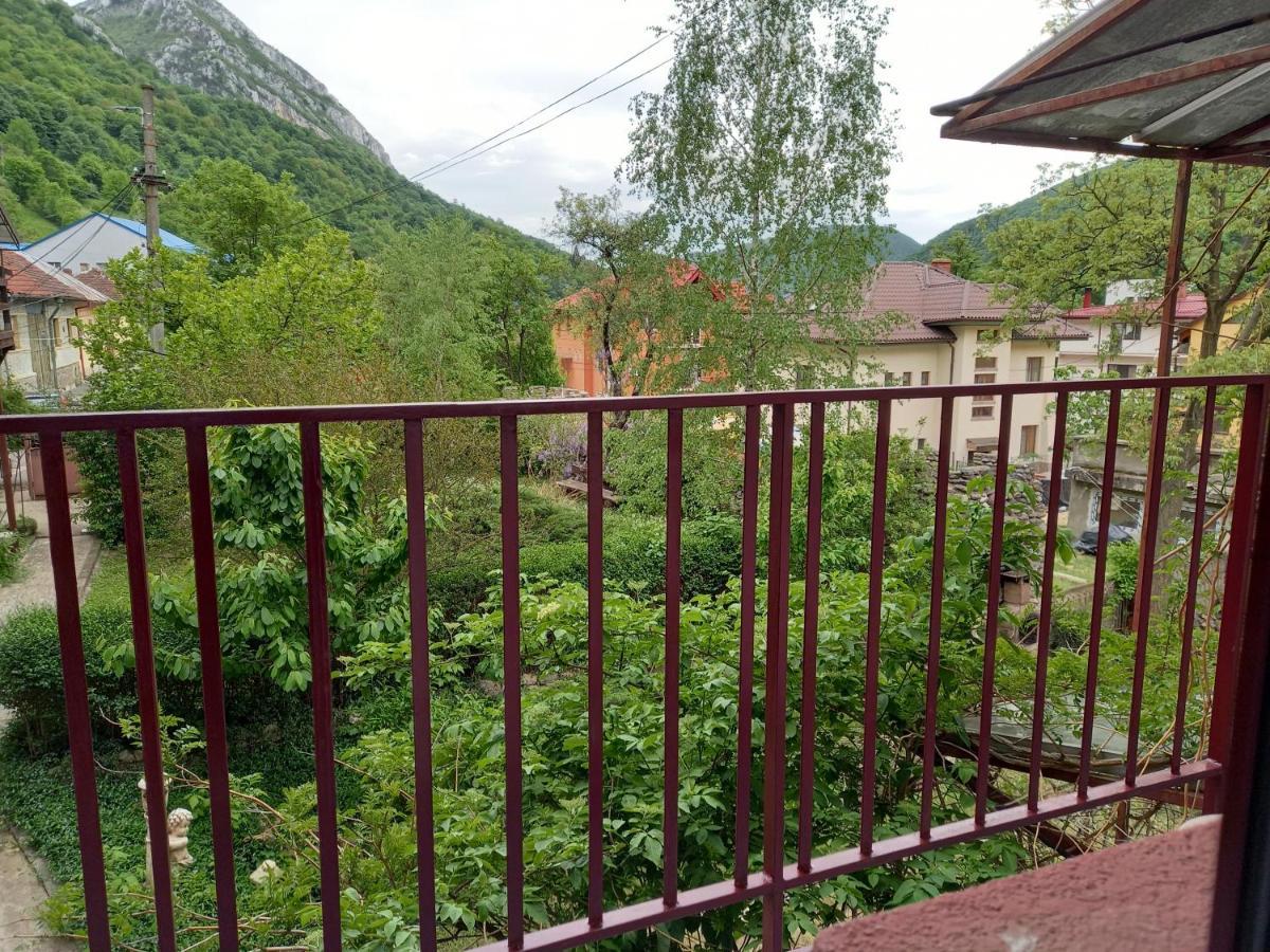 Hotel Elite Băile Herculane Dış mekan fotoğraf